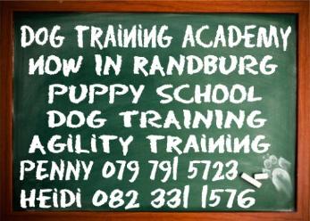 in Randburg & Florida!