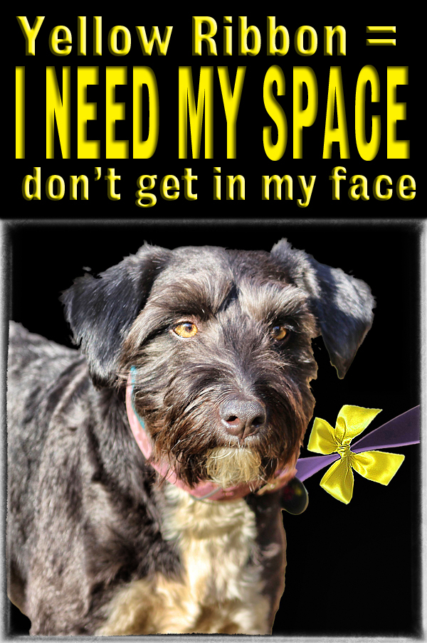 D.I.N.O.S. Dogs in Need of Space